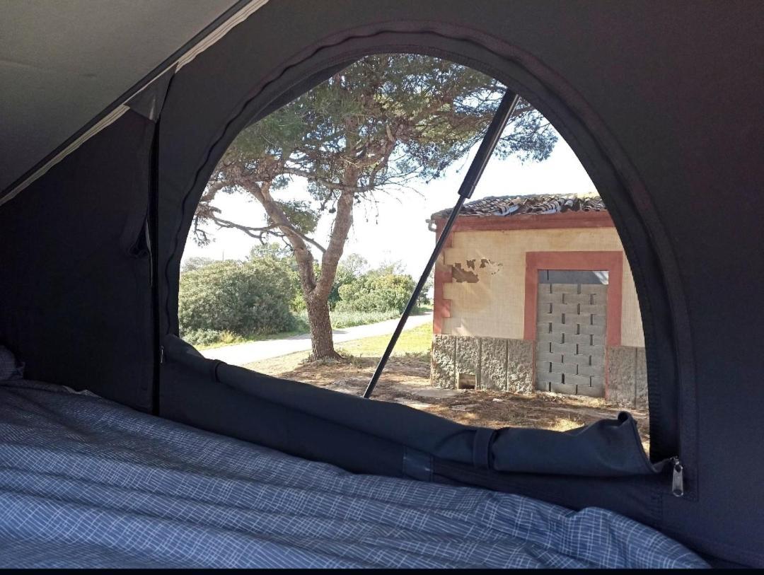 מלון פלמה דה מיורקה Ford Transit Custom Camper מראה חיצוני תמונה